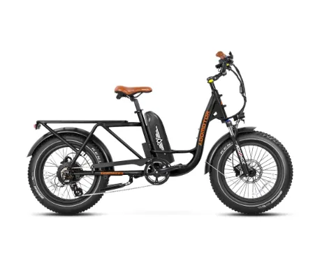 Addmotor 750W 48V GAROOTAN M-81 Cargo Fat Tire Electric Bike