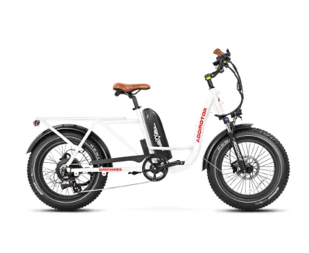 Addmotor 750W 48V GAROOTAN M-81 Cargo Fat Tire Electric Bike