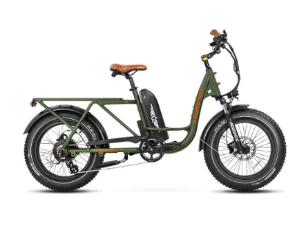 Addmotor 750W 48V GAROOTAN M-81 Cargo Fat Tire Electric Bike