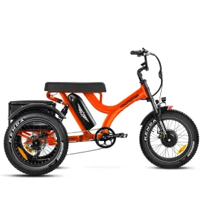 Addmotor 750W Herotri M-365X Banana Seat Electric Trike