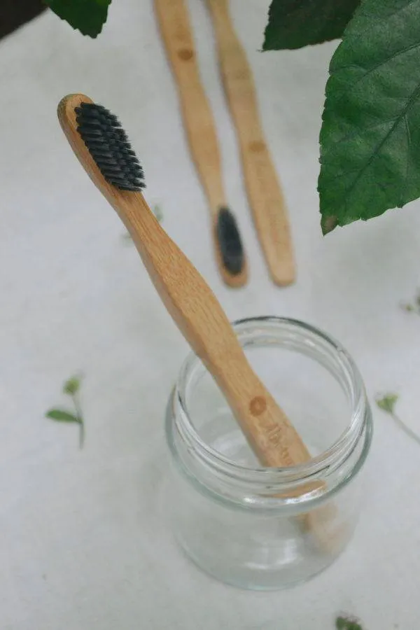 Bamboo Toothbrush  Charcoal (Pack of 2)