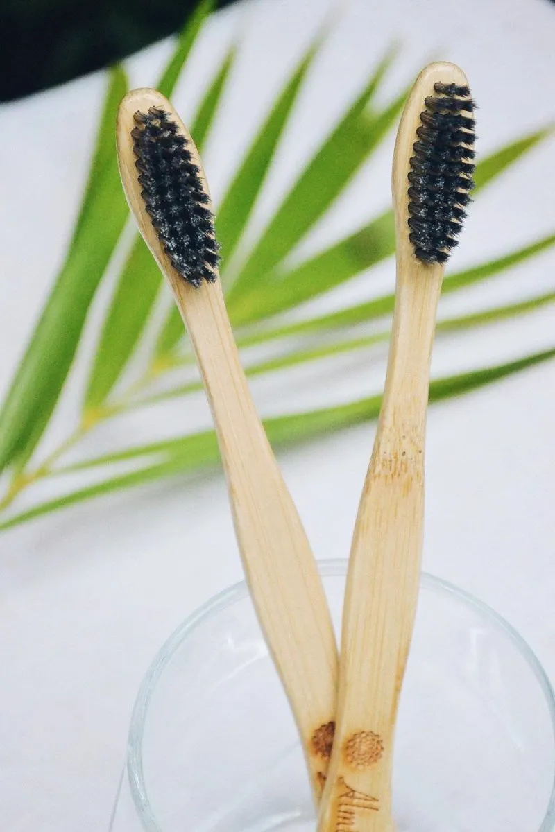 Bamboo Toothbrush  Charcoal (Pack of 2)