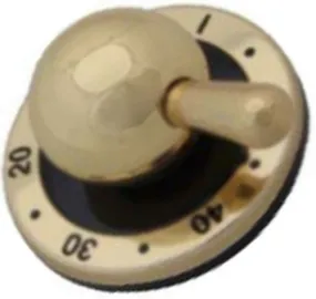 Britannia G3200014 Black Brass Control Knob