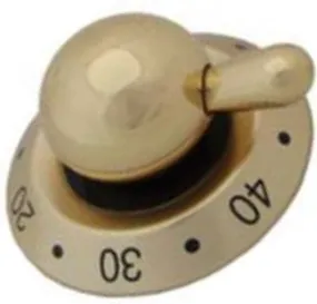 Britannia G3201014 Large Brass Control Knob