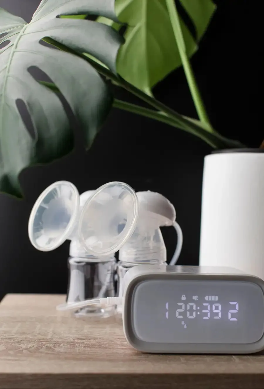 Crane Rechargeable Double Electric Breast Pump