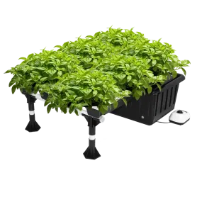 Ebb and Flow Hydroponic System – 20-Site