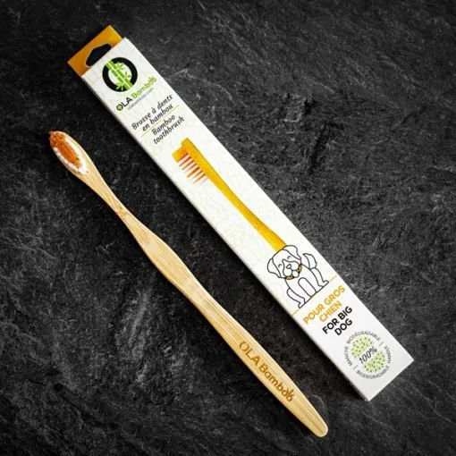 Ola Bamboo Tooth Brush