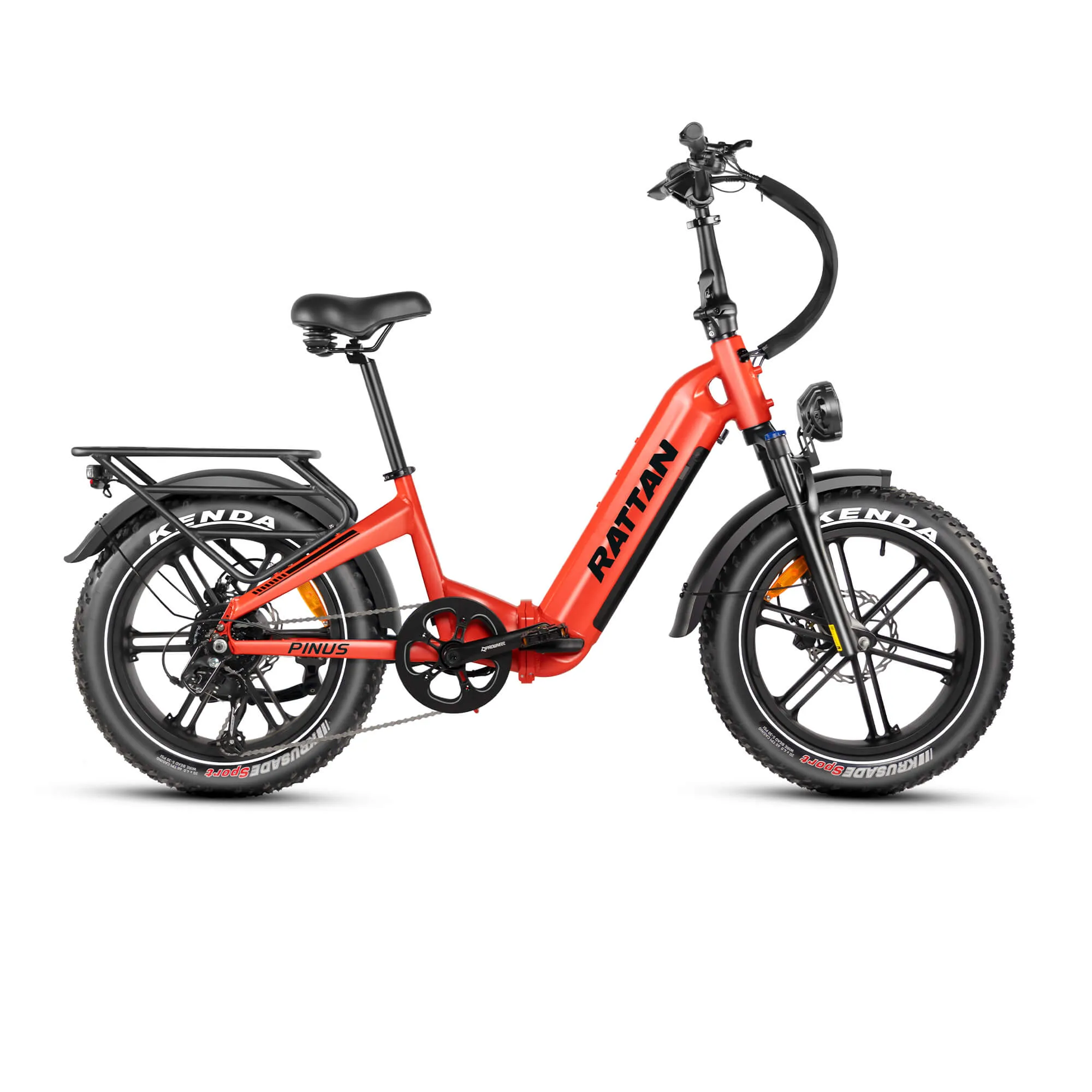 Rattan Pinus 750W 48V Step Through Fat Tire Electric Bike